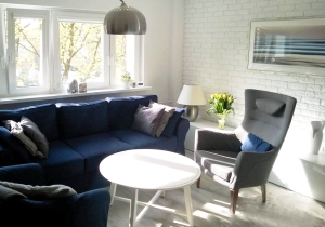 Stara cegła bez fugi - pojedyncze płytki T-CP-01SZ